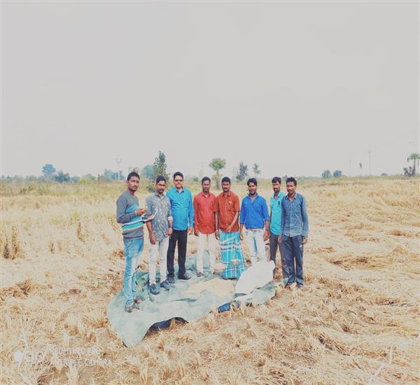 Kumuram Bheem District                                                                                                                                                                                                                                     - Crop Cutting Expts.,                                                                                                                                   - PMFBY Paddy, Crop Cutting Experiment conducted in Chandrapally village , Dahegaon Mandal under the supervision of Statistical Officer-Palthe China Kotya Naik sir, MPSO- Ch Naresh , AEO And Insurance agent attended.                                          - dt.10/12/2019          